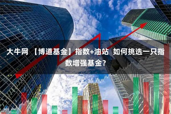 大牛网 【博道基金】指数+油站  如何挑选一只指数增强基金？