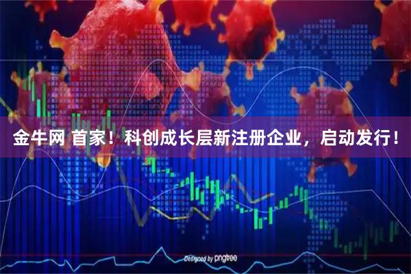 金牛网 首家！科创成长层新注册企业，启动发行！